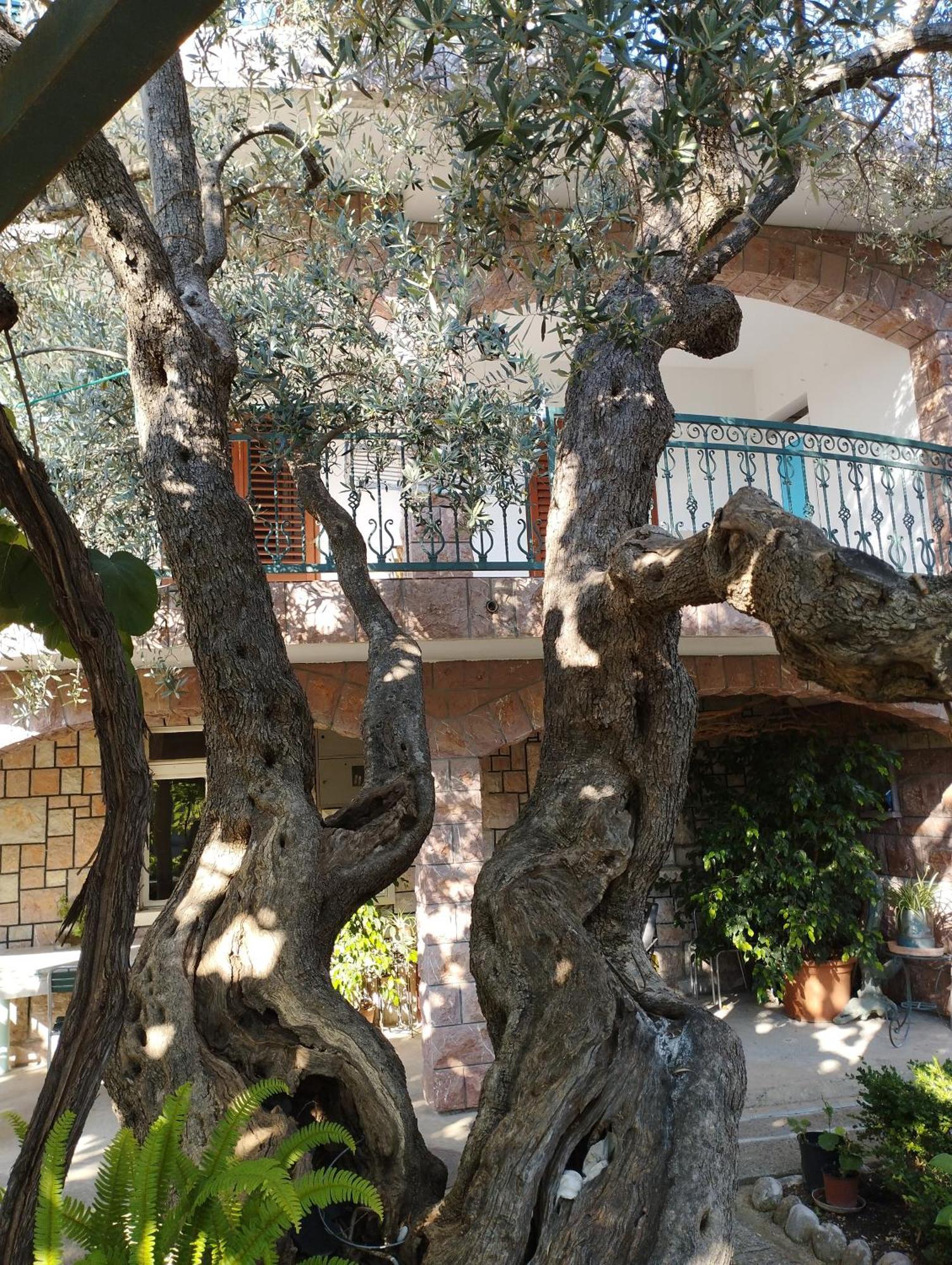 Zoro Apartments Sveti Stefan Pokój zdjęcie